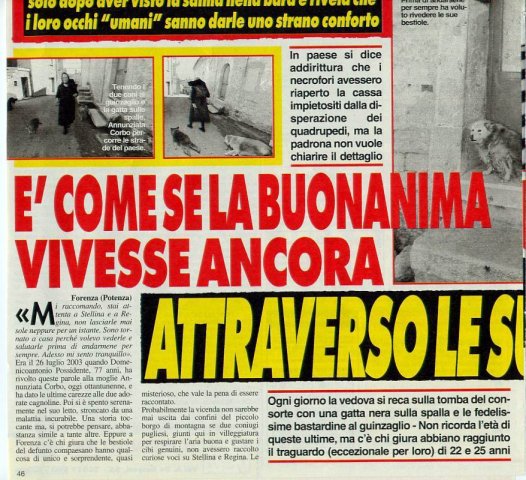 forenza mistero 2 nov2008